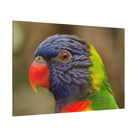 Colorful Charm Vibrant Parrot Canvas Wall Art