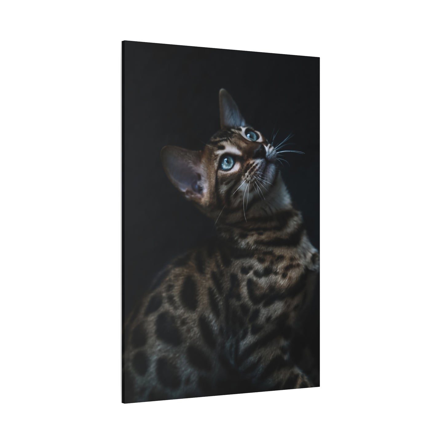 Elegant Cat Canvas Wall Art – A Must-Have for Feline Admirers