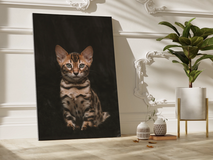 Adorable Kitten Canvas Wall Art