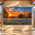 Texas Windmill and Bluebonnet Field at Sunset Wrapped Canvas Wall Art – Rustic Ranch Landscape