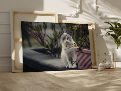 Cozy Cat Canvas Wall Art