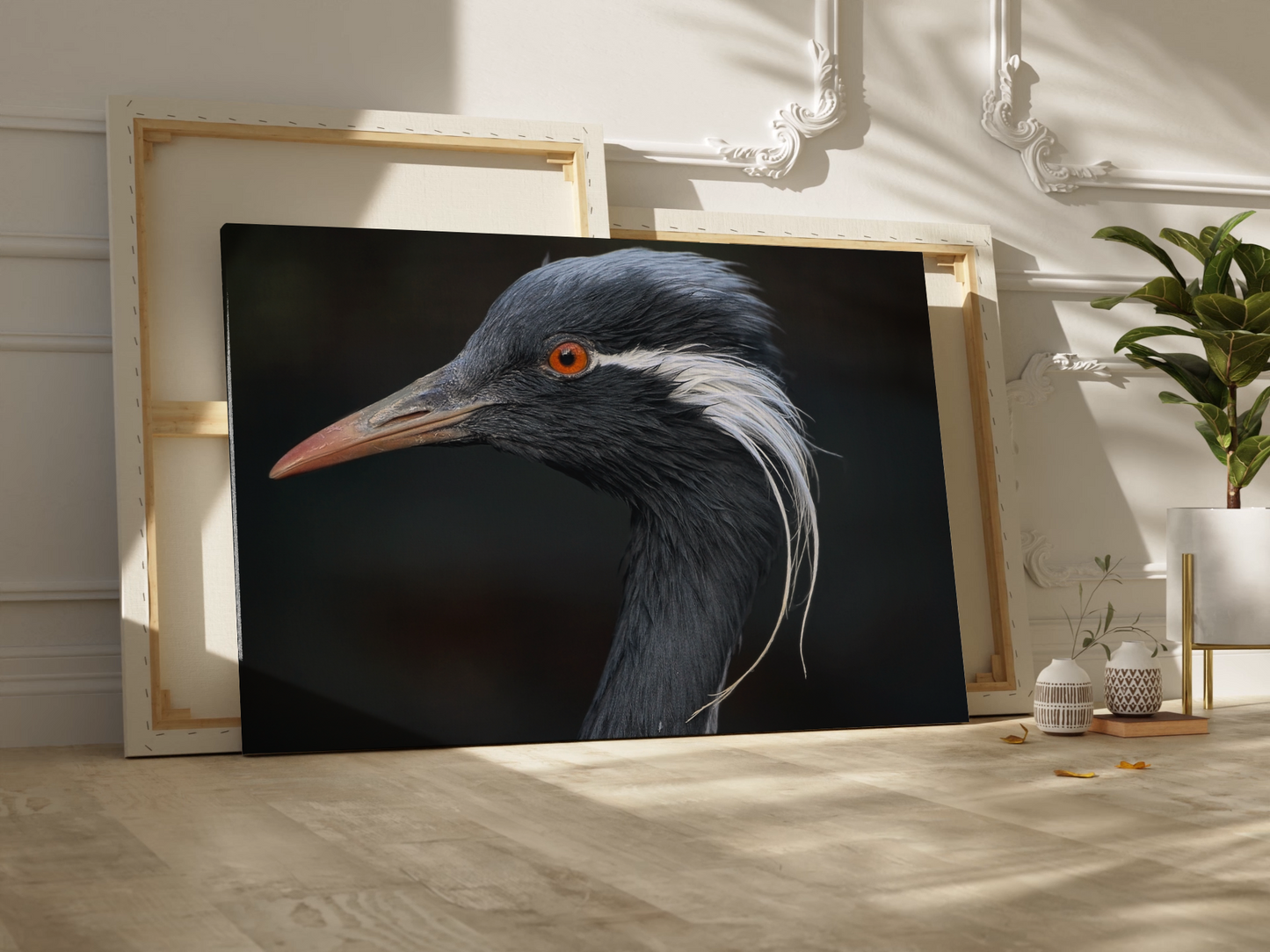 Demoiselle Crane Canvas Wall Art