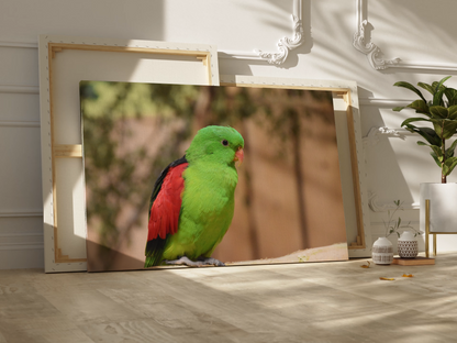 Green Parakeet Canvas Wall Art