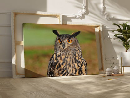 Majestic European Eagle Owl Canvas Wall Art