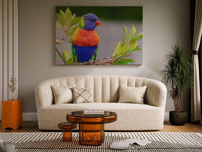 Vibrant Lorikeet Canvas Wall Art