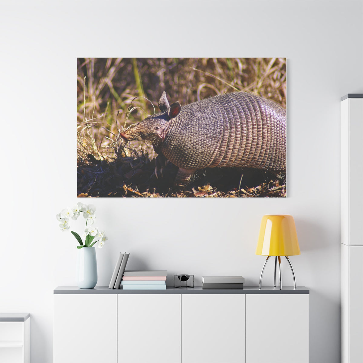 Adorable Armadillo Canvas Wall Art - ART OF ROYALS