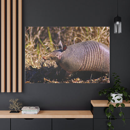 Adorable Armadillo Canvas Wall Art - ART OF ROYALS