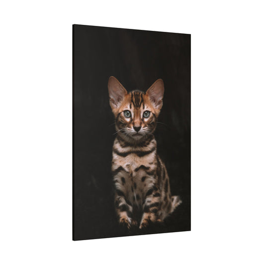 Adorable Kitten Canvas Wall Art - ART OF ROYALS