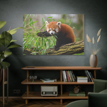 Adorable Red Panda Canvas Wall Art – Nature’s Charm and Elegance - ART OF ROYALS