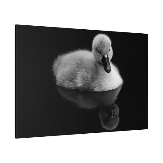 Baby Swan Canvas Wall Art – Luxury Cygnet Wildlife Nature Print - ART OF ROYALS