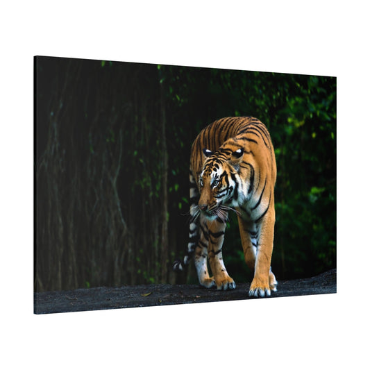 Bengal Tiger Canvas Wall Art – The Spirit of the Wild - ART OF ROYALS