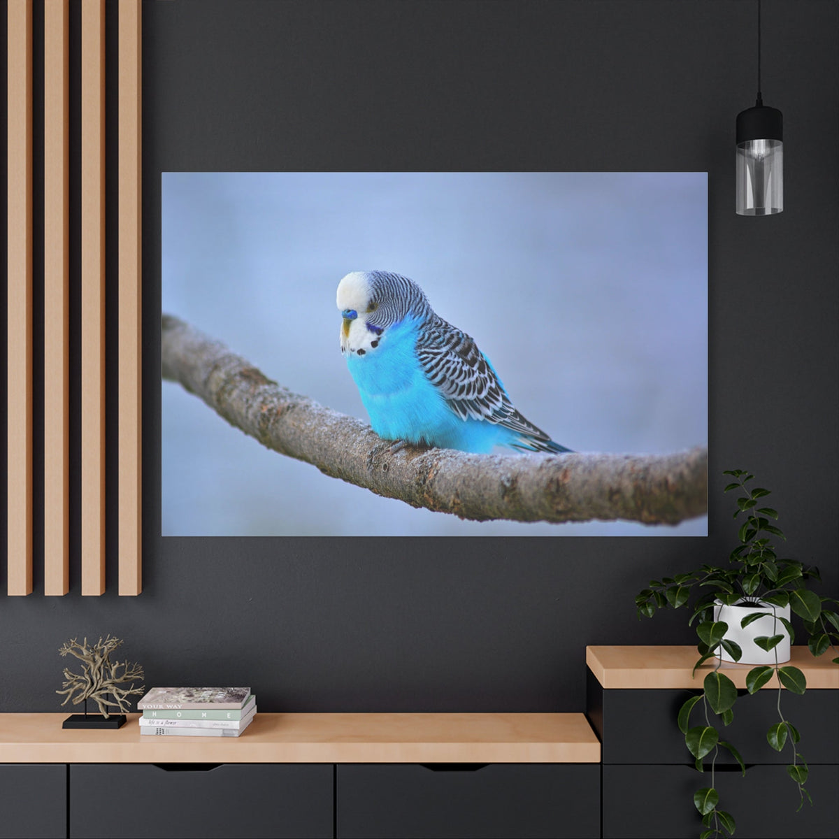 Blue Budgie Canvas Wall Art – Luxury Tropical Bird Wildlife Print - ART OF ROYALS