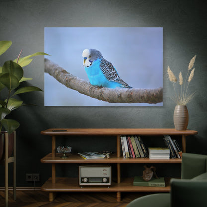 Blue Budgie Canvas Wall Art – Luxury Tropical Bird Wildlife Print - ART OF ROYALS