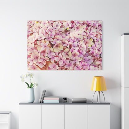 Blush Pink Hydrangeas – Timeless Floral Beauty - ART OF ROYALS