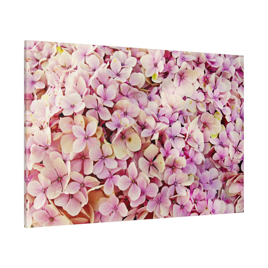 Blush Pink Hydrangeas – Timeless Floral Beauty - ART OF ROYALS