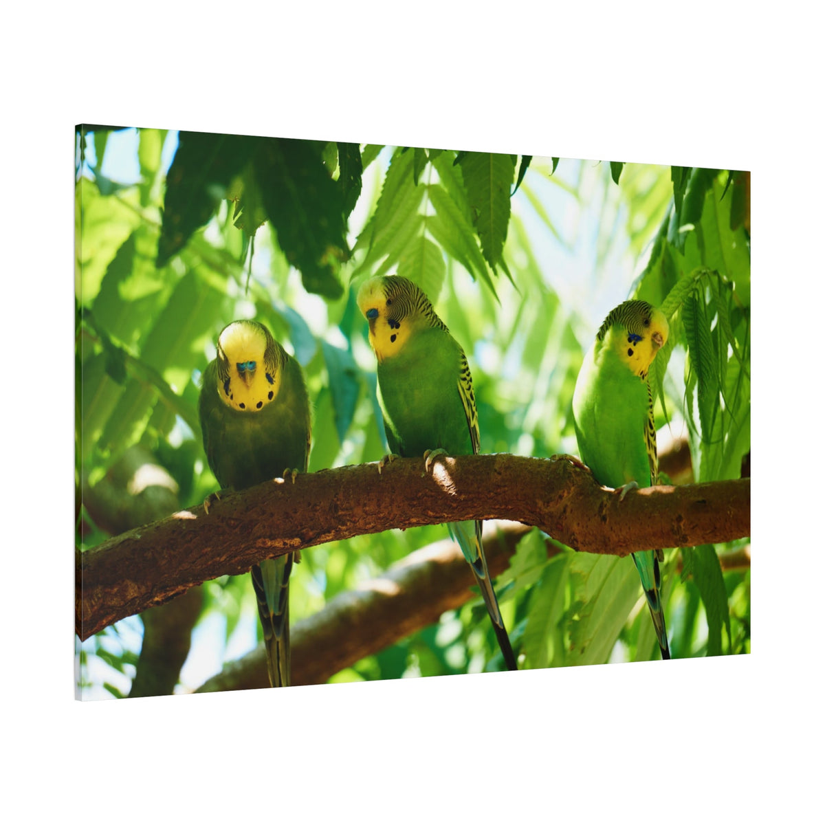 Charming Budgie Canvas Wall Art – Luxury Tropical Bird Wildlife Print - ART OF ROYALS