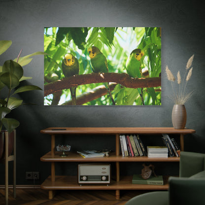 Charming Budgie Canvas Wall Art – Luxury Tropical Bird Wildlife Print - ART OF ROYALS
