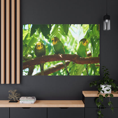 Charming Budgie Canvas Wall Art – Luxury Tropical Bird Wildlife Print - ART OF ROYALS