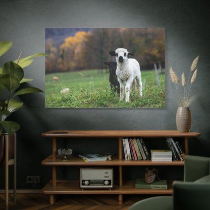 Charming Lamb Canvas Wall Art – Serene Pastoral Beauty - ART OF ROYALS