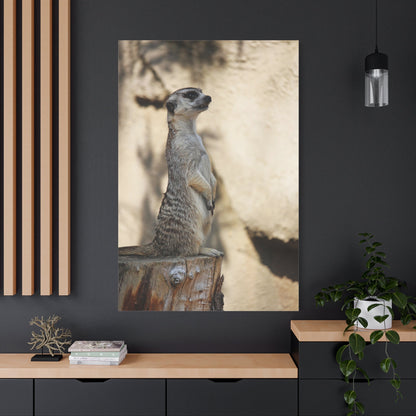 Charming Meerkat – A Striking Portrait of Nature’s Watchful Guardian - ART OF ROYALS