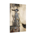Charming Meerkat – A Striking Portrait of Nature’s Watchful Guardian