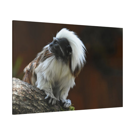 Charming Monkey Canvas Wall Art – Playful and Adorable Wildlife - ART OF ROYALS