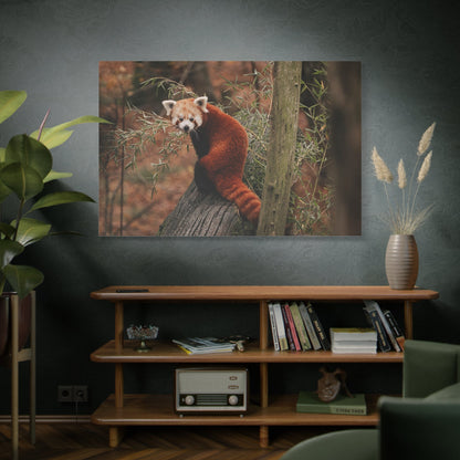 Charming Red Panda – A Heartwarming Portrait of Nature’s Adorable Explorer - ART OF ROYALS