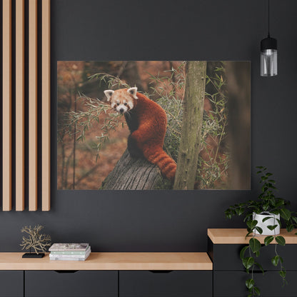 Charming Red Panda – A Heartwarming Portrait of Nature’s Adorable Explorer - ART OF ROYALS