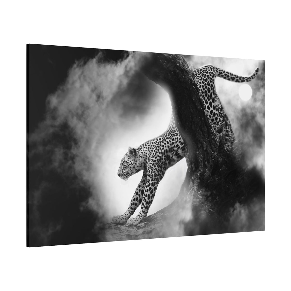 Cheetah Big Cat Canvas Wall Art – Majestic Predator Print - ART OF ROYALS