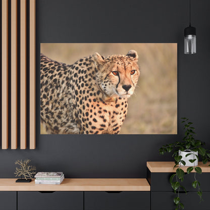 Cheetah Canvas Wall Art – Elegance of the Swift Predator - ART OF ROYALS