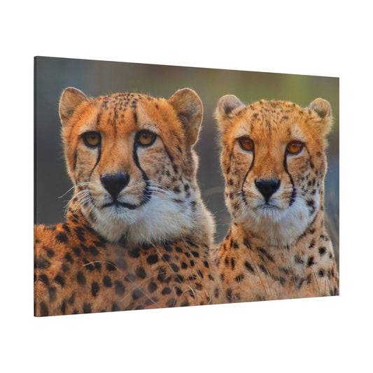 Cheetah Pair Canvas Wall Art – Majestic Wild Cats Print - ART OF ROYALS