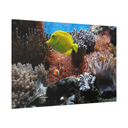 Clown Anemonefish Canvas Wall Art – Vibrant Underwater Beauty - ART OF ROYALS