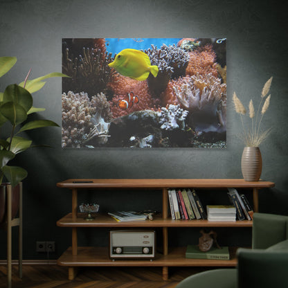 Clown Anemonefish Canvas Wall Art – Vibrant Underwater Beauty - ART OF ROYALS