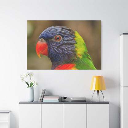 Colorful Charm Vibrant Parrot Canvas Wall Art - ART OF ROYALS