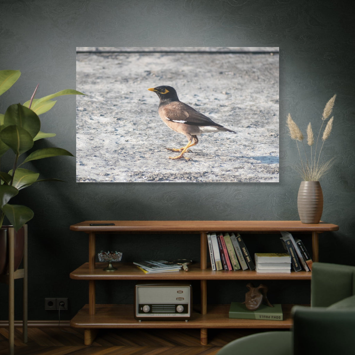 Common Myna Bird Canvas Wall Art – Luxury Exotic Wildlife Photography Print - ART OF ROYALS