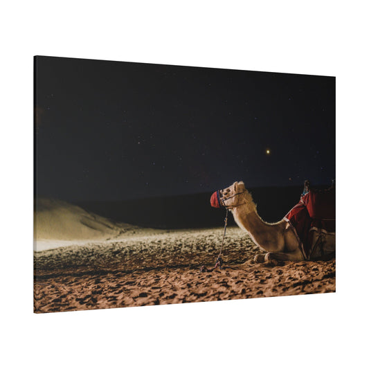 Cosmic Camel Canvas Wall Art – Mystical Journey Under the Galaxy - ART OF ROYALS