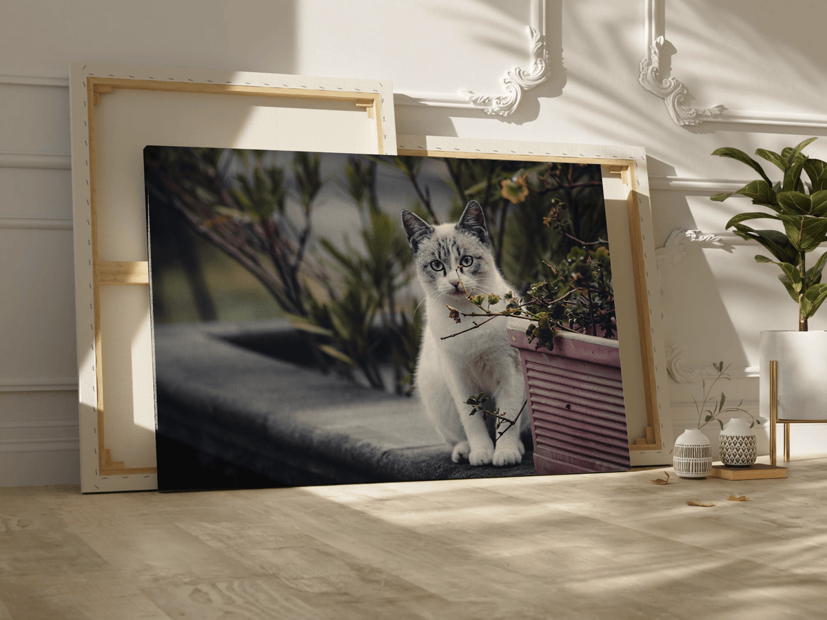 Cozy Cat Canvas Wall Art - ART OF ROYALS