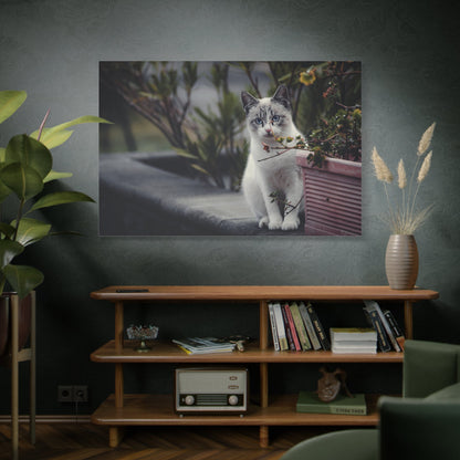Cozy Cat Canvas Wall Art - ART OF ROYALS
