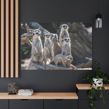 Curious Meerkat – A Charming Portrait of Playfulness and Vigilance - ART OF ROYALS