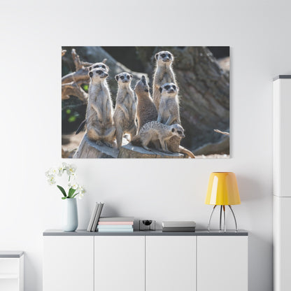 Curious Meerkat – A Charming Portrait of Playfulness and Vigilance - ART OF ROYALS