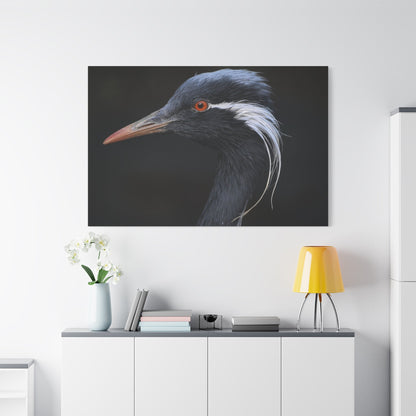 Demoiselle Crane Canvas Wall Art - ART OF ROYALS
