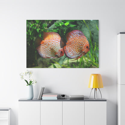 Discus Fish Harmony Canvas Wall Art – Vibrant Aquarium Scene - ART OF ROYALS