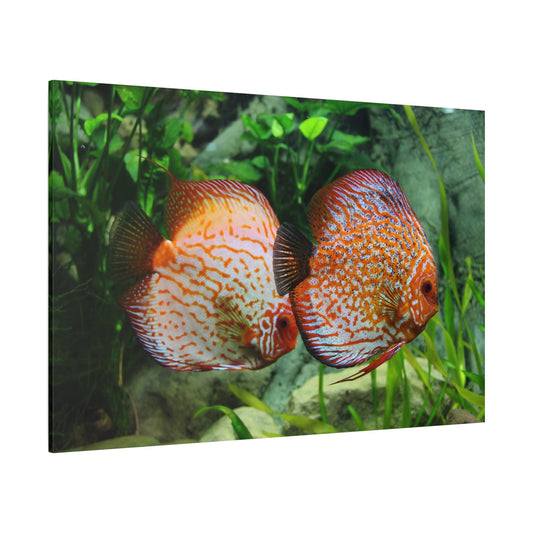 Discus Fish Harmony Canvas Wall Art – Vibrant Aquarium Scene - ART OF ROYALS