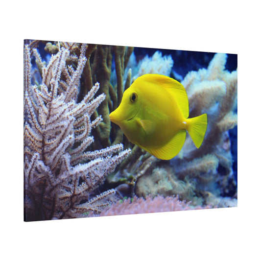 Doctor Fish Coral Reef Canvas Wall Art – Vibrant Underwater Scene - ART OF ROYALS