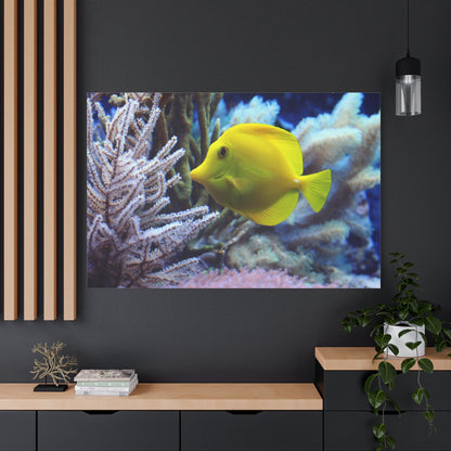 Doctor Fish Coral Reef Canvas Wall Art – Vibrant Underwater Scene - ART OF ROYALS