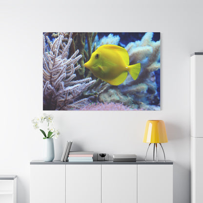 Doctor Fish Coral Reef Canvas Wall Art – Vibrant Underwater Scene - ART OF ROYALS