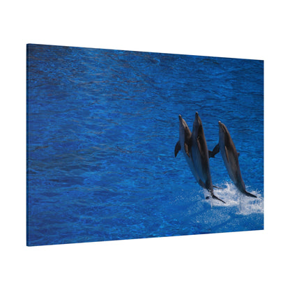 Dolphin in Motion – Leap of Freedom - ART OF ROYALS