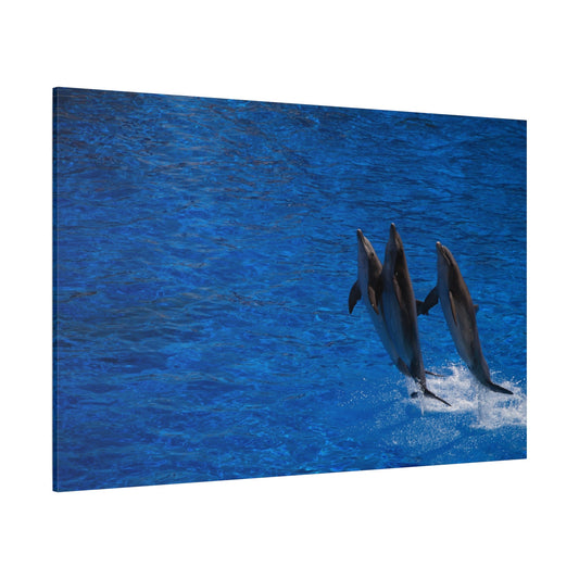 Dolphin in Motion – Leap of Freedom - ART OF ROYALS