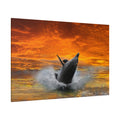 Dolphin’s Joyful Leap – Ocean’s Elegance in Motion