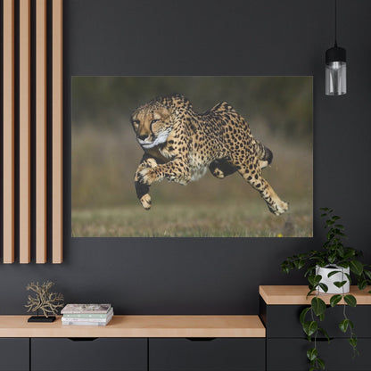 Dynamic Cheetah Chase Canvas Wall Art - Wildlife in Action - ART OF ROYALS